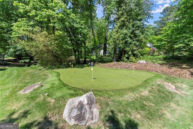 194 Sentinel Pl SE, Marietta, GA 30067 - view of home's community with a putting green and view of golf course