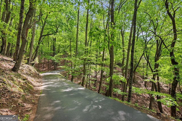 61 Deer Run Rdg, Big Canoe, GA 30143 - view of community with a view of trees