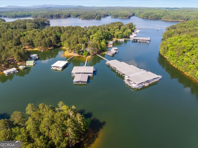 7 Grassdale Rd, Cartersville, GA 30120 - drone / aerial view of a heavily wooded area and a nearby body of water