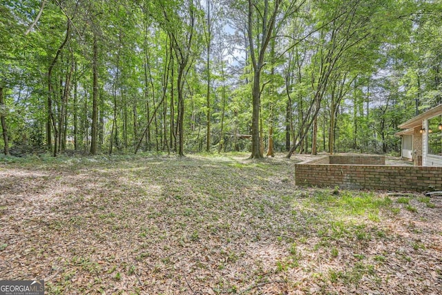 9 Windsor Way, Newnan, GA 30263 - view of yard