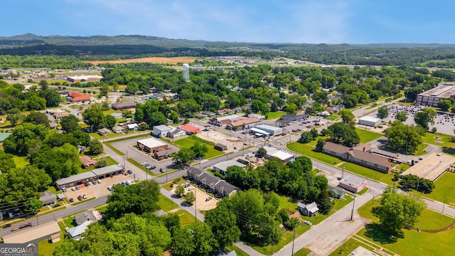 drone / aerial view