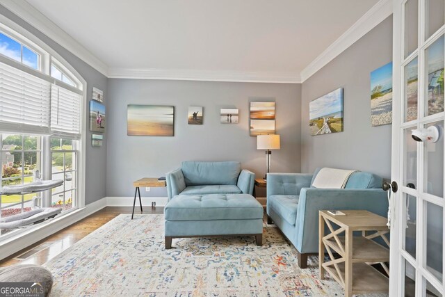 6317 Benbrooke Overlook NW, Acworth, GA 30101 - living room with ornamental molding and wood finished floors