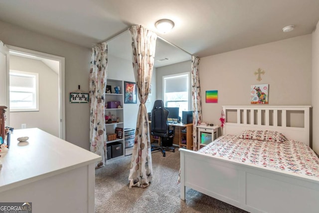 592 Eagles Nest Cir, Auburn, GA 30011 - carpeted bedroom with multiple windows and a desk
