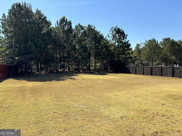 457 Panhandle Pl, Hampton, GA 30228 - view of yard