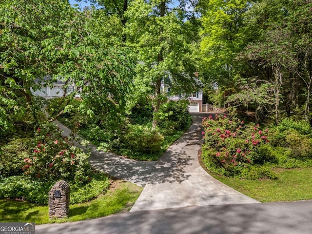 357 Breeze Hill Ln, Canton, GA 30114 - view of community with concrete driveway and a garage
