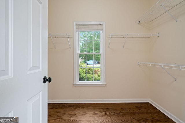 walk in closet featuring wood finished floors