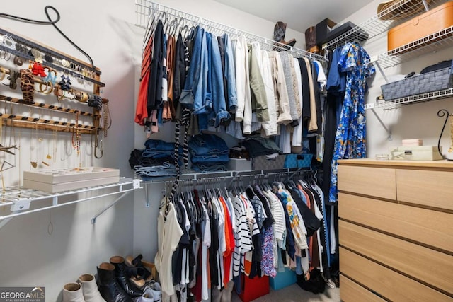 view of spacious closet