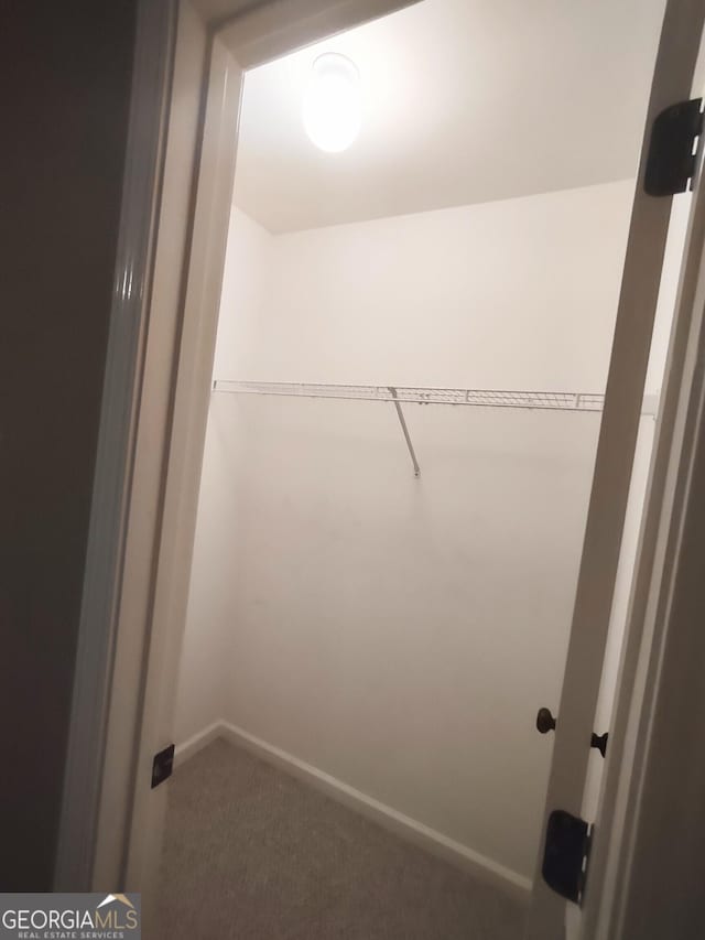 308 Bell Isle, Mcdonough, GA 30252 - spacious closet featuring carpet floors