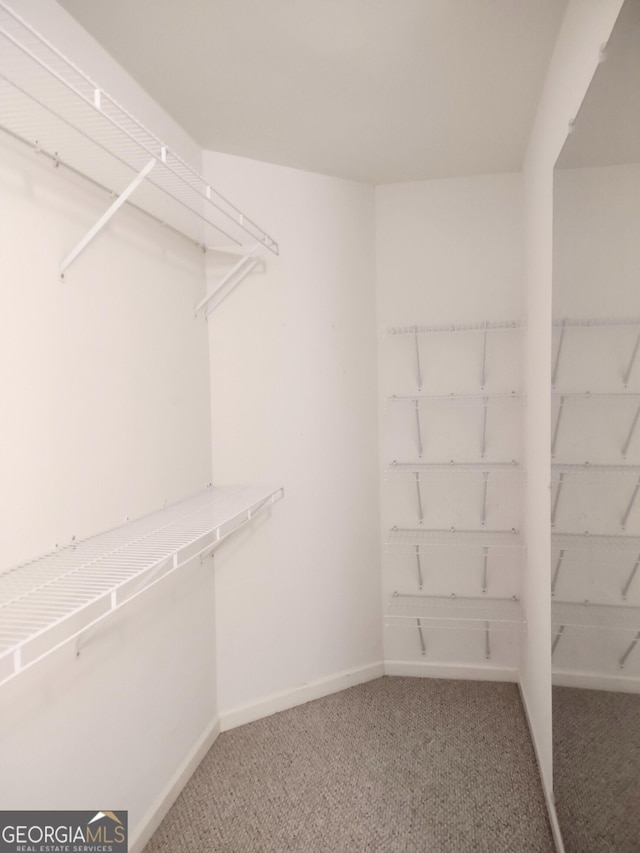 308 Bell Isle, Mcdonough, GA 30252 - spacious closet featuring carpet flooring