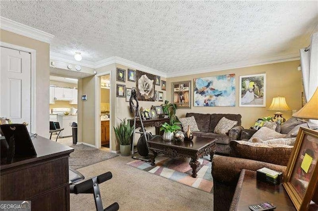 373 Dixie Ct, Lawrenceville, GA 30046 - living room with carpet floors, a textured ceiling, a desk, and ornamental molding