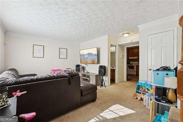 373 Dixie Ct, Lawrenceville, GA 30046 - living room with carpet flooring, ornamental molding, and a textured ceiling