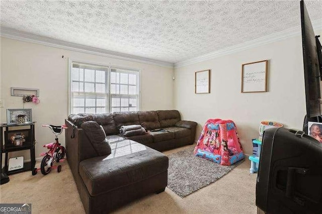 373 Dixie Ct, Lawrenceville, GA 30046 - living area featuring carpet, crown molding, and a textured ceiling