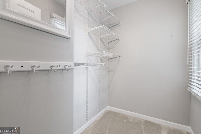 walk in closet featuring light colored carpet