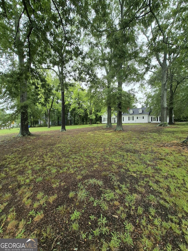 view of grassy yard