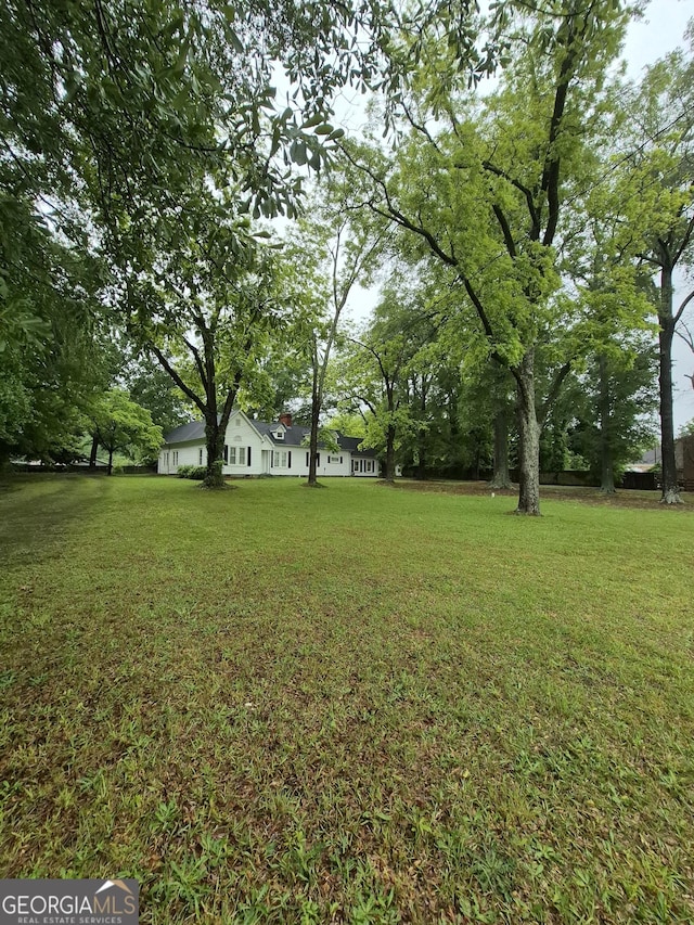 view of green lawn