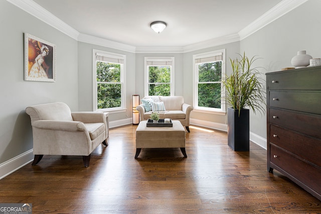 living area featuring baseboards, plenty of natural light, ornamental molding, and dark wood-type flooring