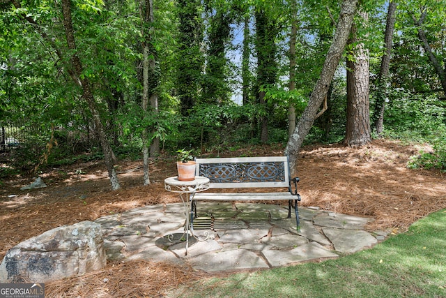 view of home's community with a patio