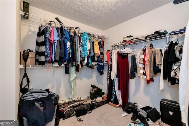 3265 Watson Gate Rd, Loganville, GA 30052 - spacious closet with carpet floors