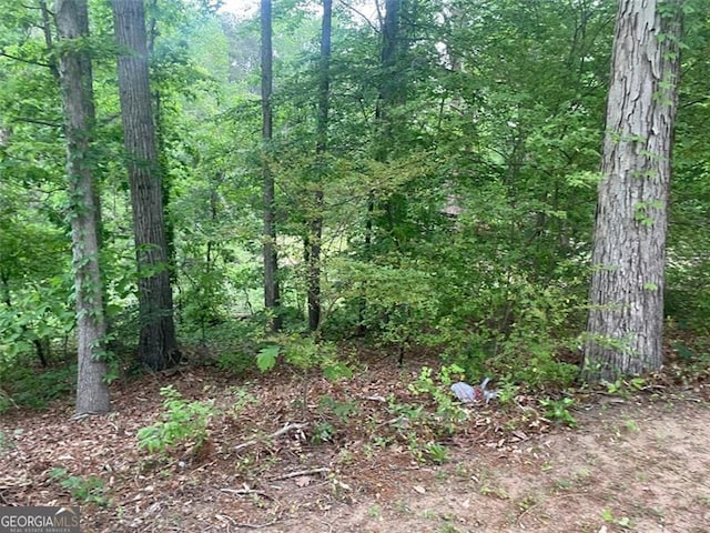 248 Dreamland Cir, Winder, GA 30680 - view of wooded area