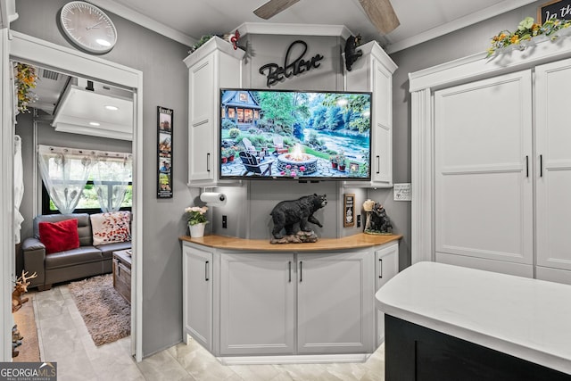344 Choestoe Falls Cir, Blairsville, GA 30512 - bar area with crown molding and a ceiling fan