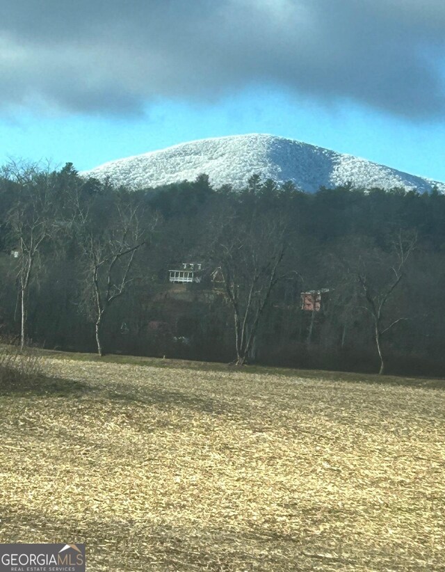 344 Choestoe Falls Cir, Blairsville, GA 30512 - view of mountain background