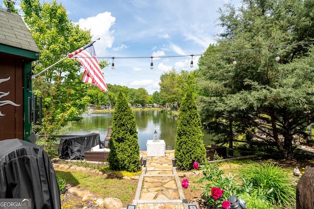344 Choestoe Falls Cir, Blairsville, GA 30512 - view of yard featuring a water view