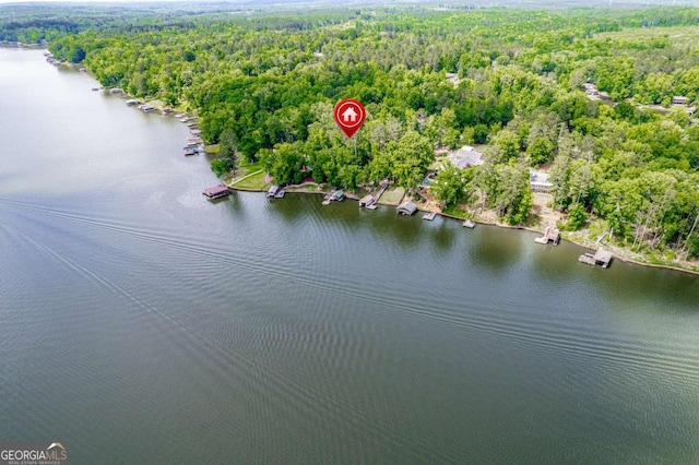 bird's eye view of a heavily wooded area and a nearby body of water