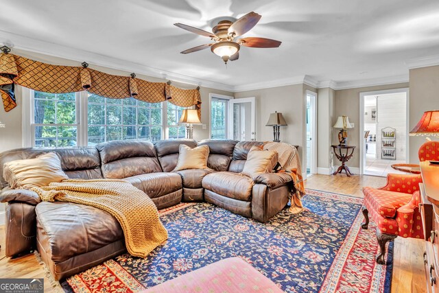 4250 Edgewater Ct NW, Kennesaw, GA 30144 - living area featuring crown molding, a ceiling fan, light wood-type flooring, and baseboards