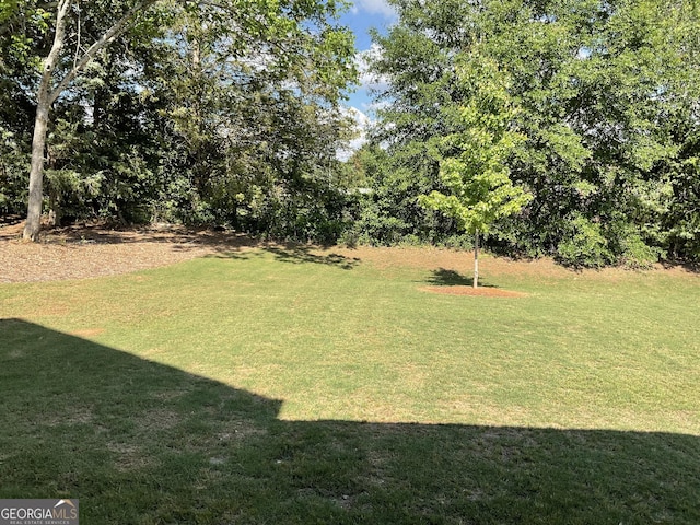 101 Elkins Blvd, Locust Grove, GA 30248 - view of green lawn