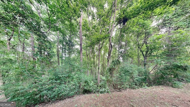 700 Patriots Point St, Locust Grove, GA 30248 - view of wooded area
