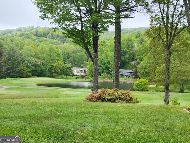 view of property's community featuring a water view and a lawn