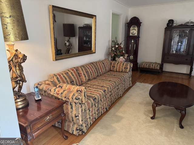 3662 Greentree Farms Dr, Decatur, GA 30034 - living room featuring wood finished floors