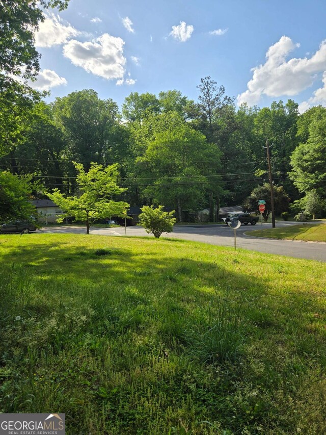 6136 Holiday Blvd, Forest Park, GA 30297 - view of green lawn