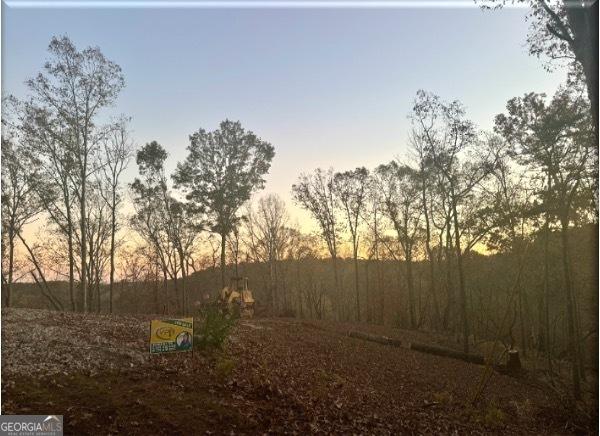 0 S Chestatee St, Dahlonega, GA 30533