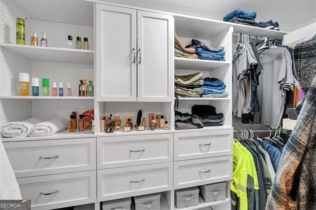 view of walk in closet