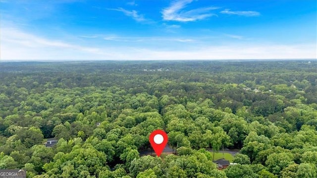 bird's eye view of a forest