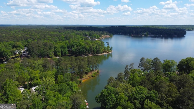 aerial view of a heavily wooded area and a nearby body of water