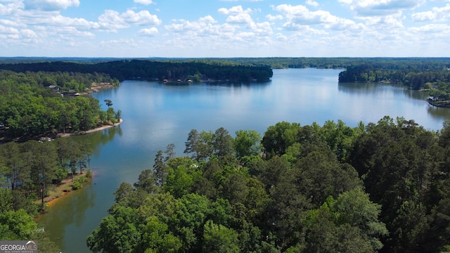 bird's eye view of a forest and a large body of water