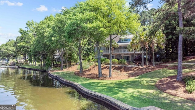 1221 Cosby Cir, Greensboro, GA 30642 - surrounding community featuring a water view and a yard