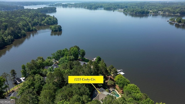 1221 Cosby Cir, Greensboro, GA 30642 - aerial view of a nearby body of water and a forest