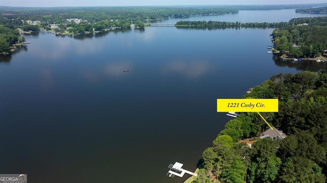 1221 Cosby Cir, Greensboro, GA 30642 - aerial overview of property's location featuring a large body of water and a heavily wooded area