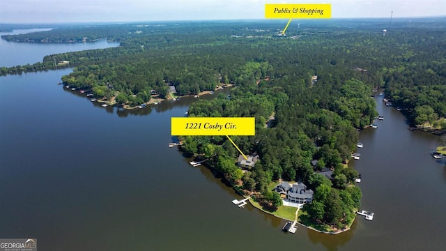 1221 Cosby Cir, Greensboro, GA 30642 - view of property location with a heavily wooded area and a large body of water