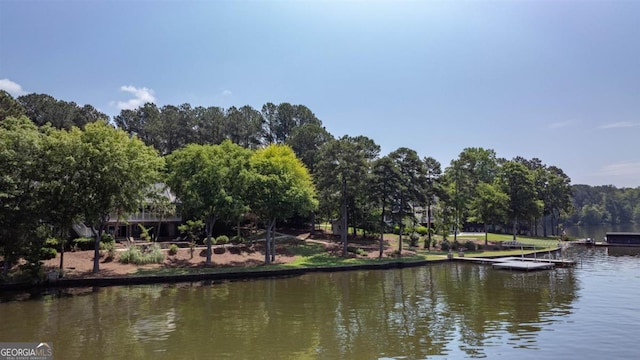 1221 Cosby Cir, Greensboro, GA 30642 - water view