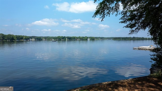 1221 Cosby Cir, Greensboro, GA 30642 - water view with a floating dock