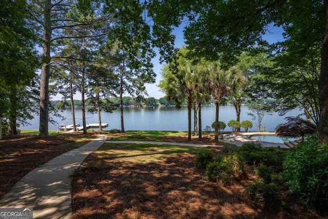 1221 Cosby Cir, Greensboro, GA 30642 - view of property's community featuring a water view and a boat dock
