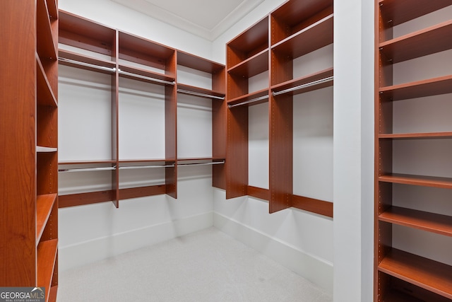 11660 Crabapple Rd, Roswell, GA 30075 - walk in closet featuring carpet