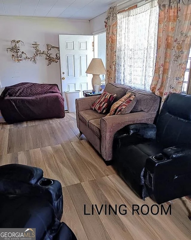 living room featuring wood finished floors