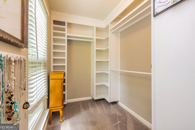 10 Queens Ct, Sharpsburg, GA 30277 - spacious closet featuring dark colored carpet