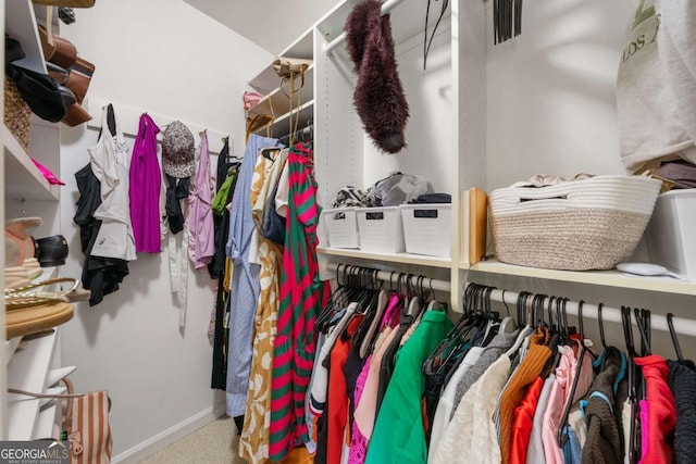 walk in closet with carpet flooring