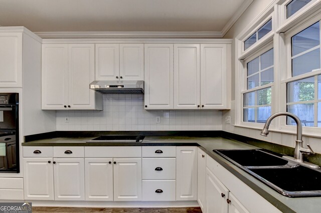 2049 Mclain Rd NW, Acworth, GA 30101 - kitchen featuring a sink, under cabinet range hood, black appliances, white cabinets, and crown molding